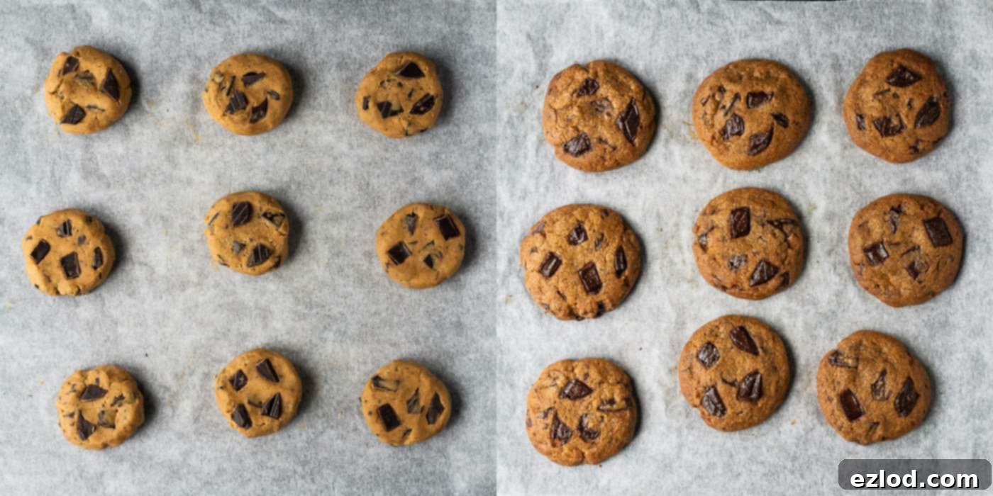 Step 4 in making vegan pumpkin chocolate chip cookies: Shaped cookie dough balls, studded with chocolate chips, are laid out on a baking sheet lined with parchment paper, ready to be baked to perfection.