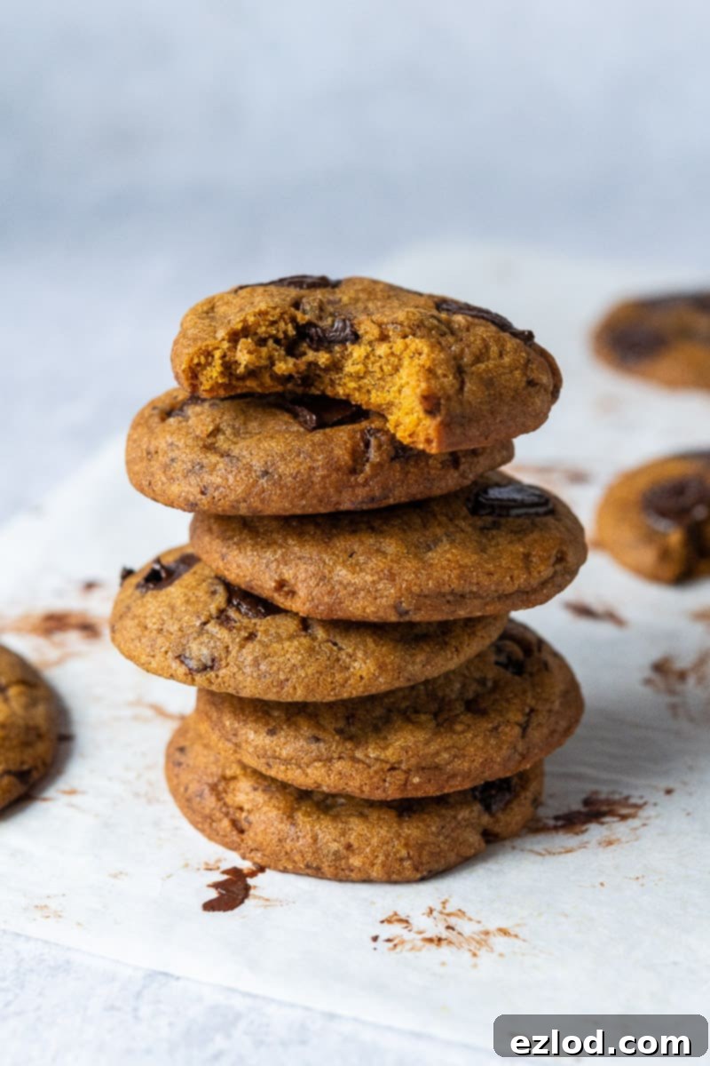 An appetizing stack of golden-brown vegan pumpkin chocolate chip cookies, generously studded with melted chocolate, resting on a rustic grey background. The cookies look perfectly baked, soft, and inviting.