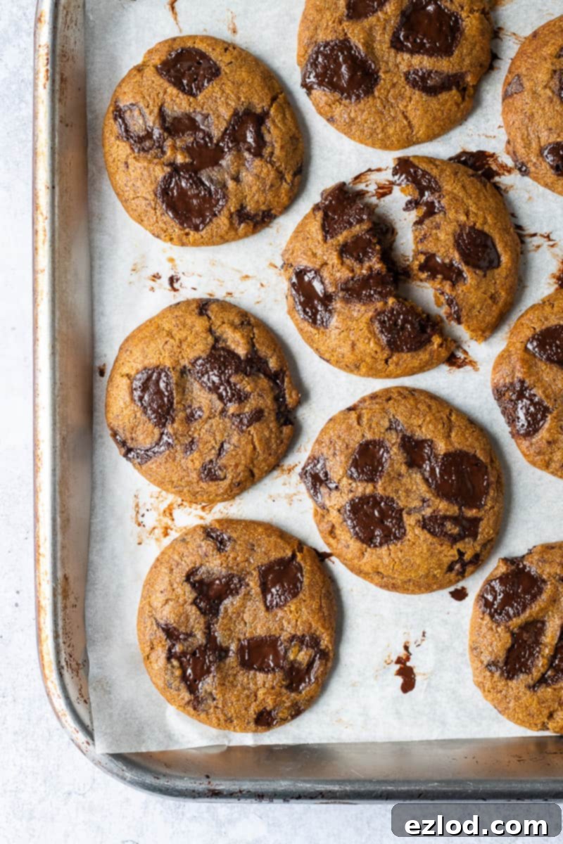 A close-up shot of vegan pumpkin chocolate chip cookies displayed on a sleek silver baking tray. The cookies are golden-brown, with visible chocolate chips, and exude a fresh-from-the-oven appeal.