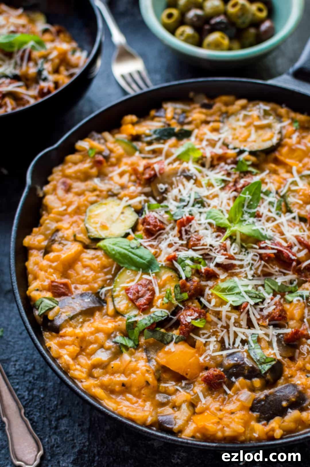 Angled close-up shot of ratatouille risotto