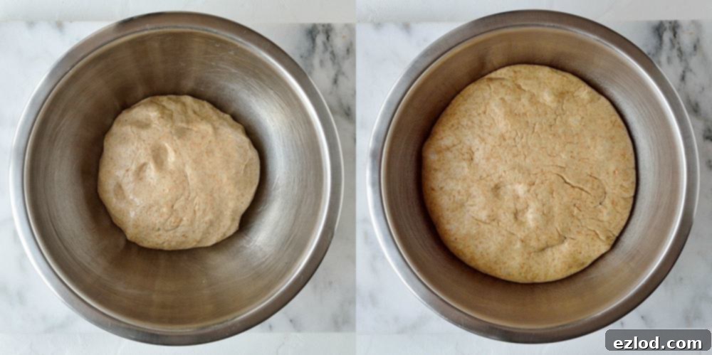 A two-image collage showing the cinnamon roll dough before and after its initial rise, demonstrating the doubling in size.