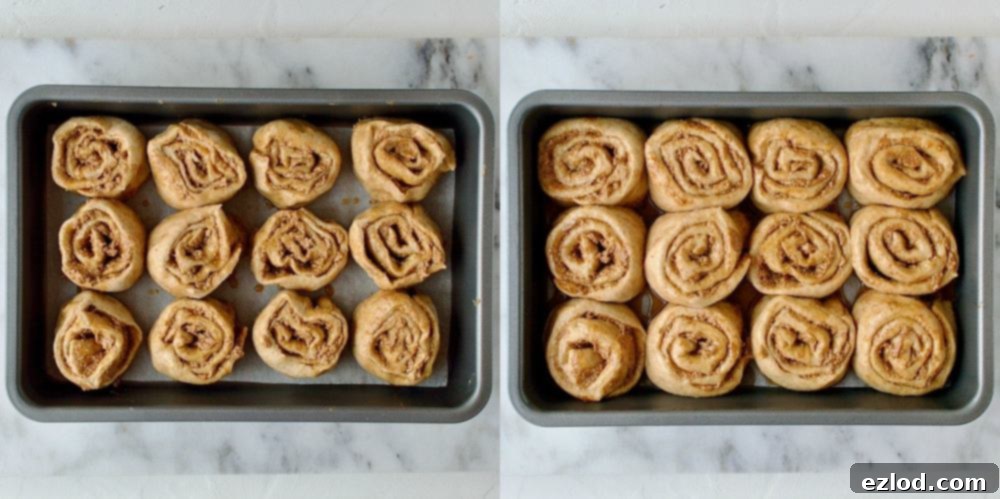 A two-image collage showing vegan cinnamon rolls arranged in a baking tray before and after their second rise, appearing noticeably puffier.