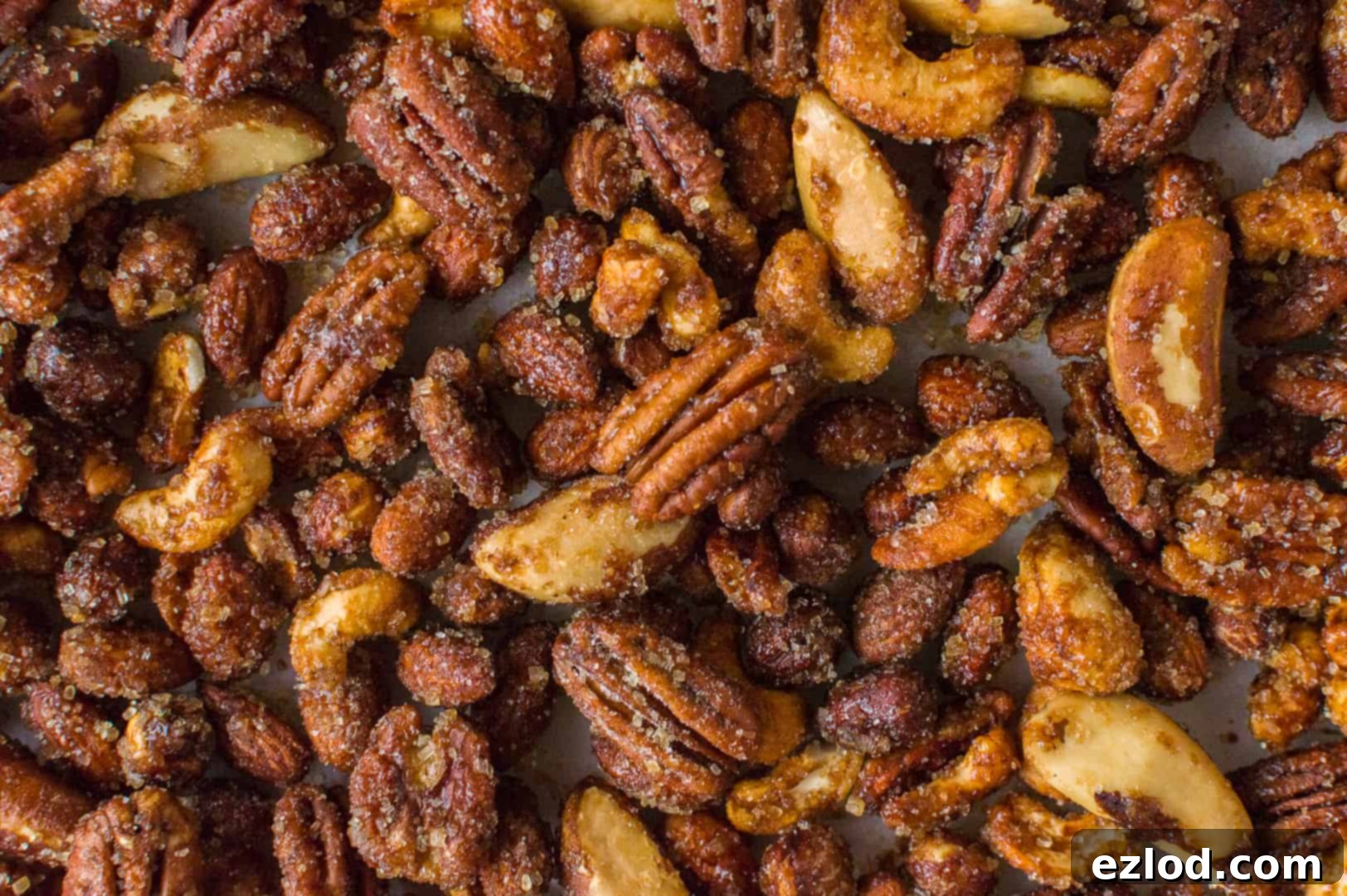 Close up of golden, sugar encrusted roasted pecans, cashews, brazil nuts, almonds and hazelnuts, showcasing the perfect coating.