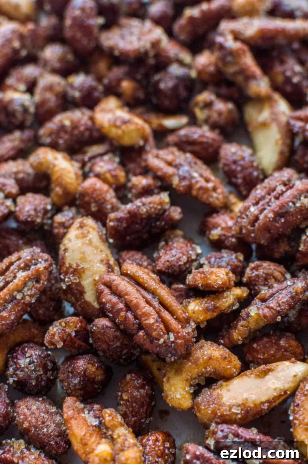 An angled shot of a tray of freshly roasted, sugar-coated pecans, cashews, almonds, hazelnuts and brazil nuts, showcasing their appealing golden-brown color and ready-to-serve presentation.