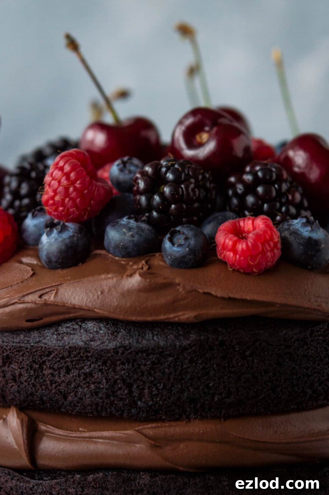Close up of berries on top of vegan chocolate cake with vegan ganache
