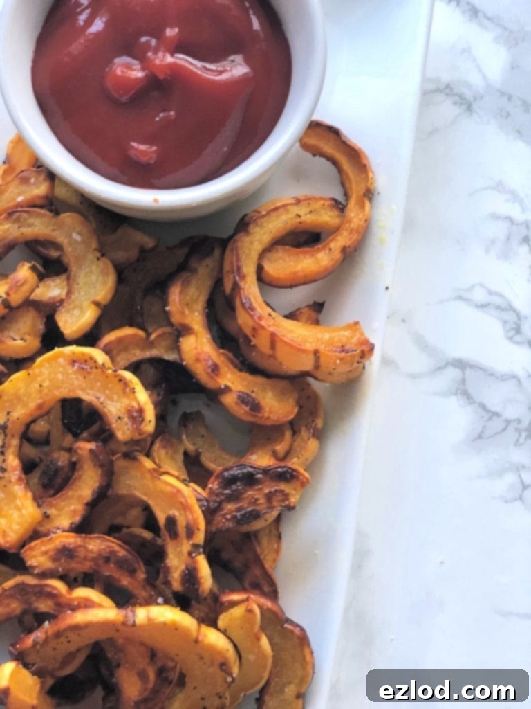 Roasted delicata squash fries on a white plate sitting on a marble table with a side of healthy ketchup. 