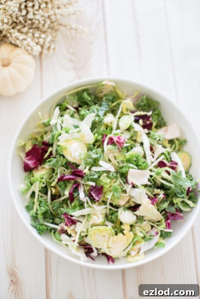 An overhead photo of a a bowl of festive Holiday Salad. The salad, made of purple cabbage, shaved Brussels sprouts, broccoli slaw, kale, and topped with dried cranberries and sliced almonds, is in a large white serving bowl. To the side is cream fall decor and a white wooden background.