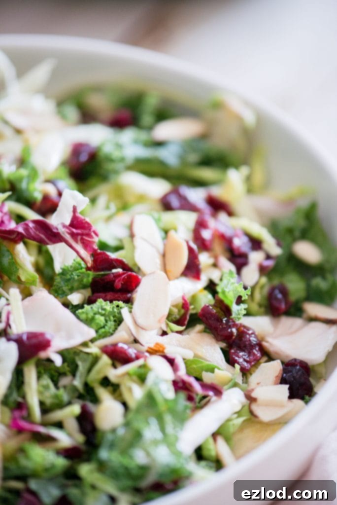 Close up photo of a bed of festive Holiday Salad. The salad made of purple cabbage, shaved Brussels sprouts, broccoli slaw, kale, and topped with dried cranberries and sliced almonds, is in a large white serving bowl.