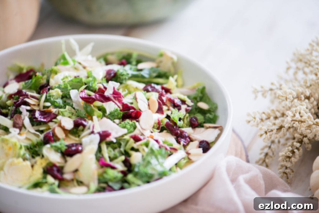 Close up side view of a bowl of festive Holiday Salad. The salad, made of purple cabbage, shaved Brussels sprouts, broccoli slaw, kale, and topped with dried cranberries and sliced almonds, is in a large white serving bowl. In the background is cream fall decor.