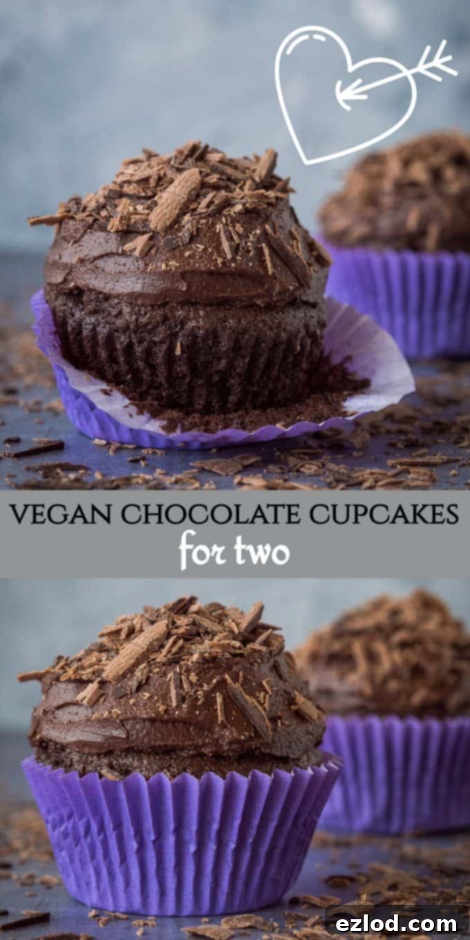 Pinterest image featuring the two delicious vegan chocolate cupcakes, perfect for sharing on social media and inspiring others to bake.