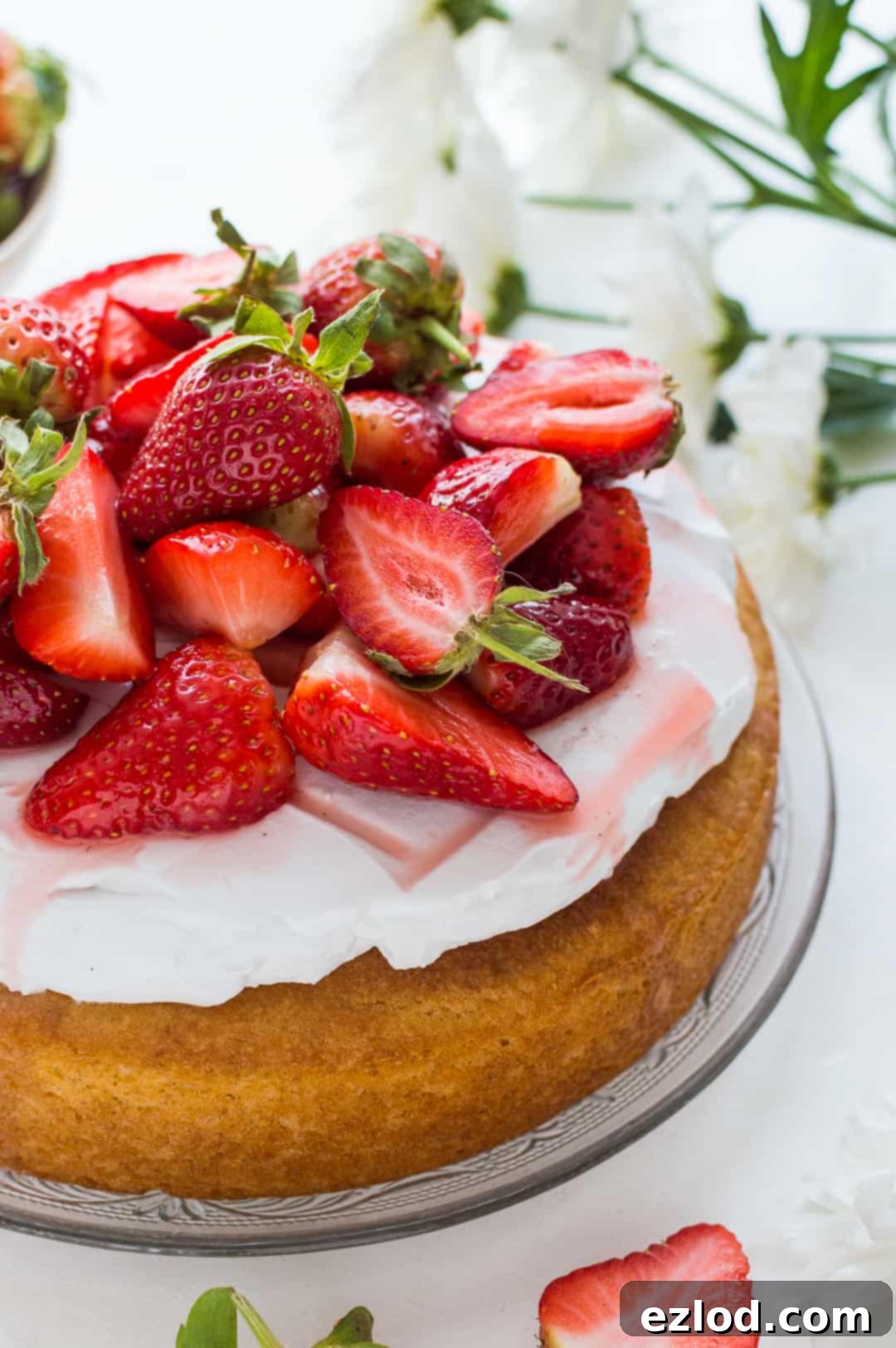 A close up shot of simple vegan lemon almond cake topped with coconut whipped cream and macerated strawberries on a white background.