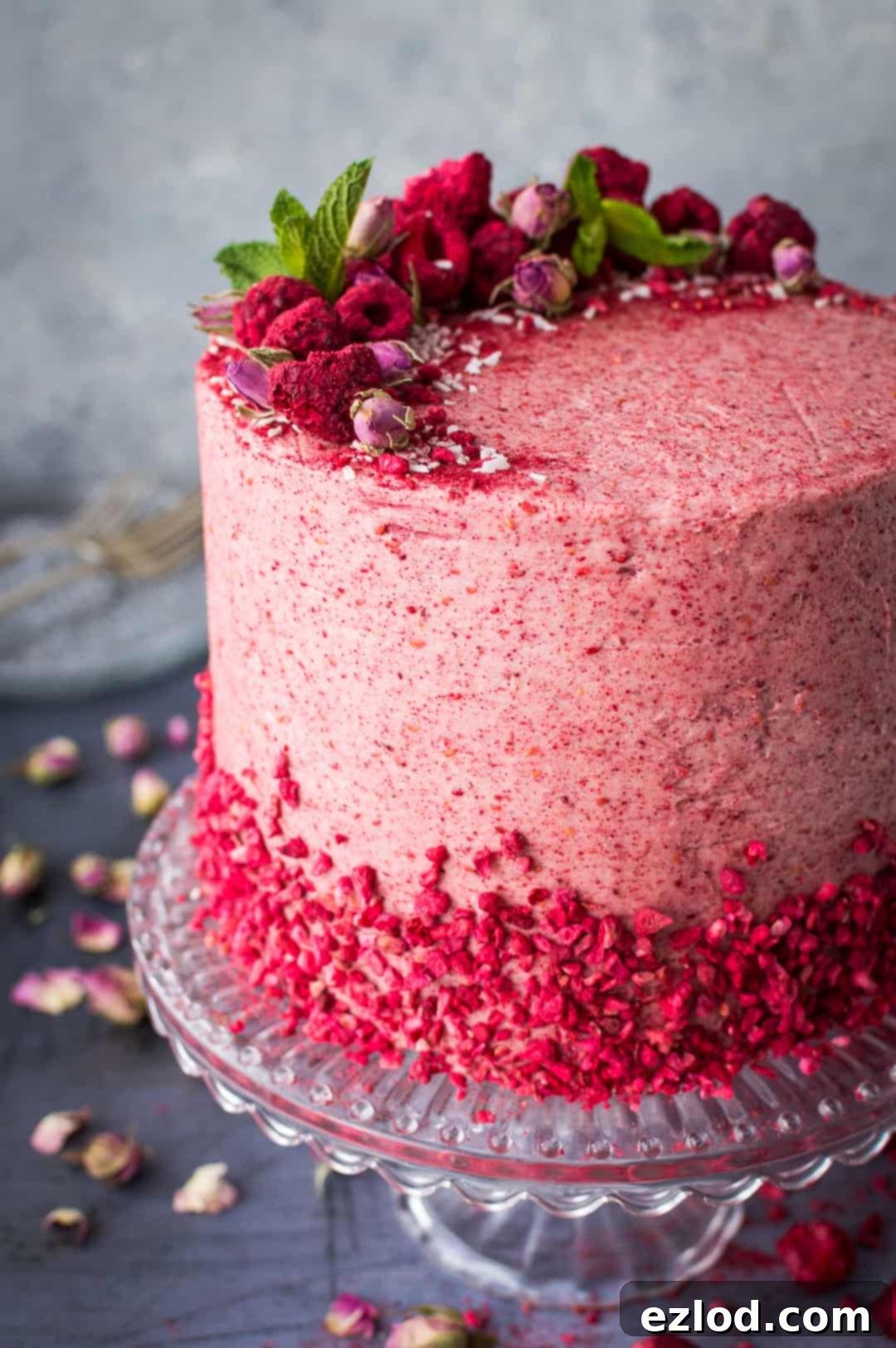 Side view of a meticulously decorated raspberry coconut lemon layer cake, adorned with whole and crushed freeze-dried raspberries, showcasing its impressive height and delicious layers.