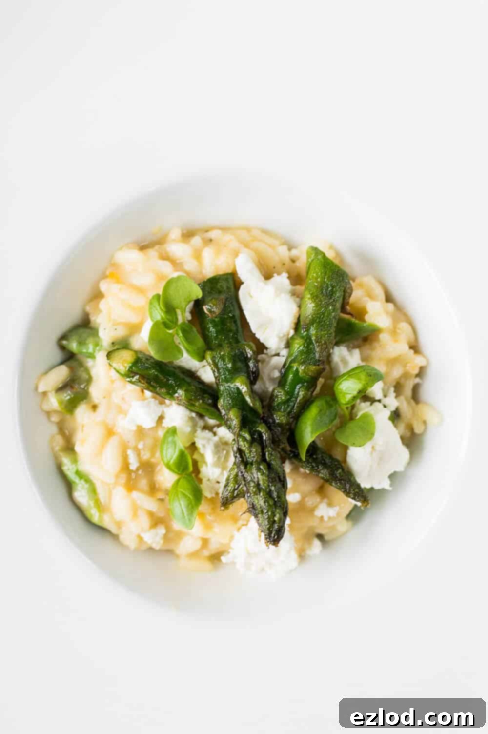Asparagus, feta, and basil risotto, a delicious and seemingly low-fibre starter from the lunch event.