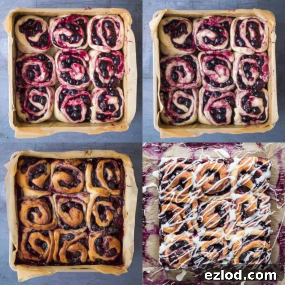 lemon blueberry rolls step 4: baked rolls in a tin