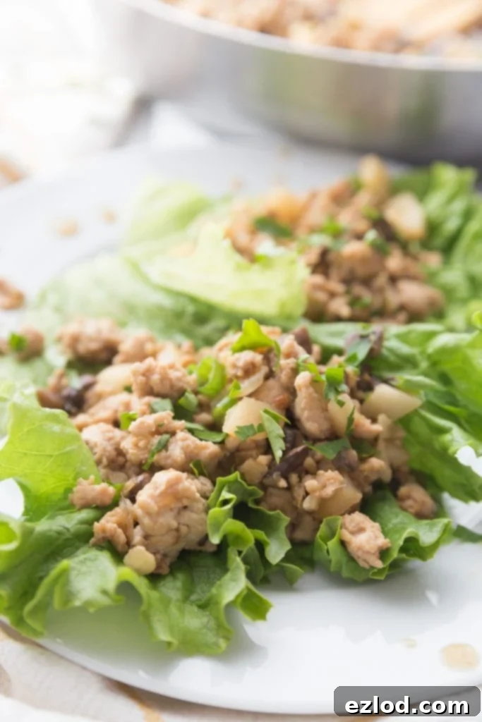 Ground chicken and veggie lettuce wraps on a white plate, from the side angle- a pan in the background