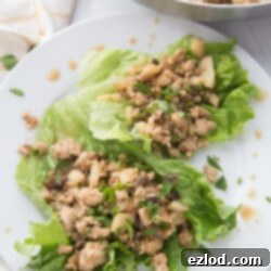 A perfectly portioned healthy chicken lettuce wrap on a white plate, showcasing the vibrant filling.