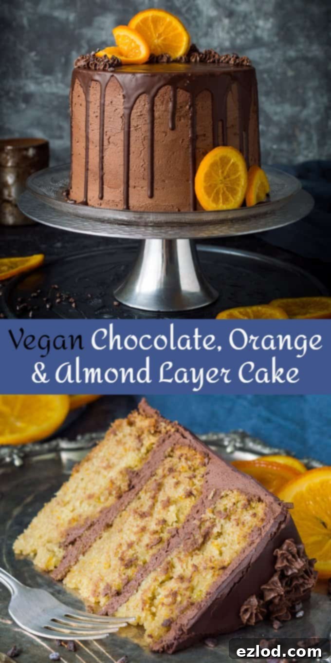 Tall vegan chocolate orange almond cake with a generous chocolate drip and candied orange slices, perfect for Pinterest