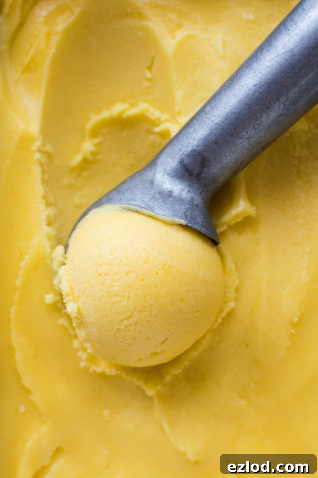 Close up of a scoop of vegan mango lassi sorbet made with fresh mangoes, coconut yogurt and lime.