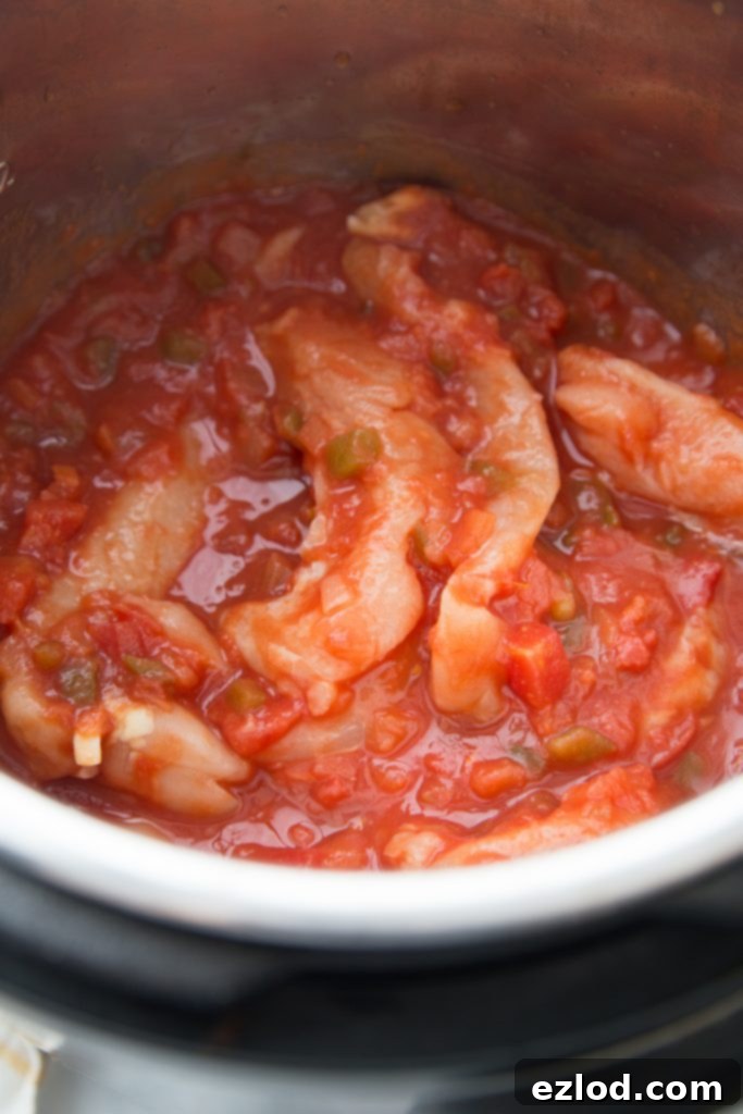 Uncooked chicken and salsa ready to be pressure cooked in an Instant Pot, showing the minimal prep for the delicious Salsa Lime Chicken filling.