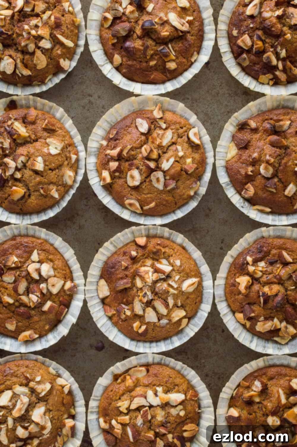 Top down photo of a tray of vegan banana nut muffins.