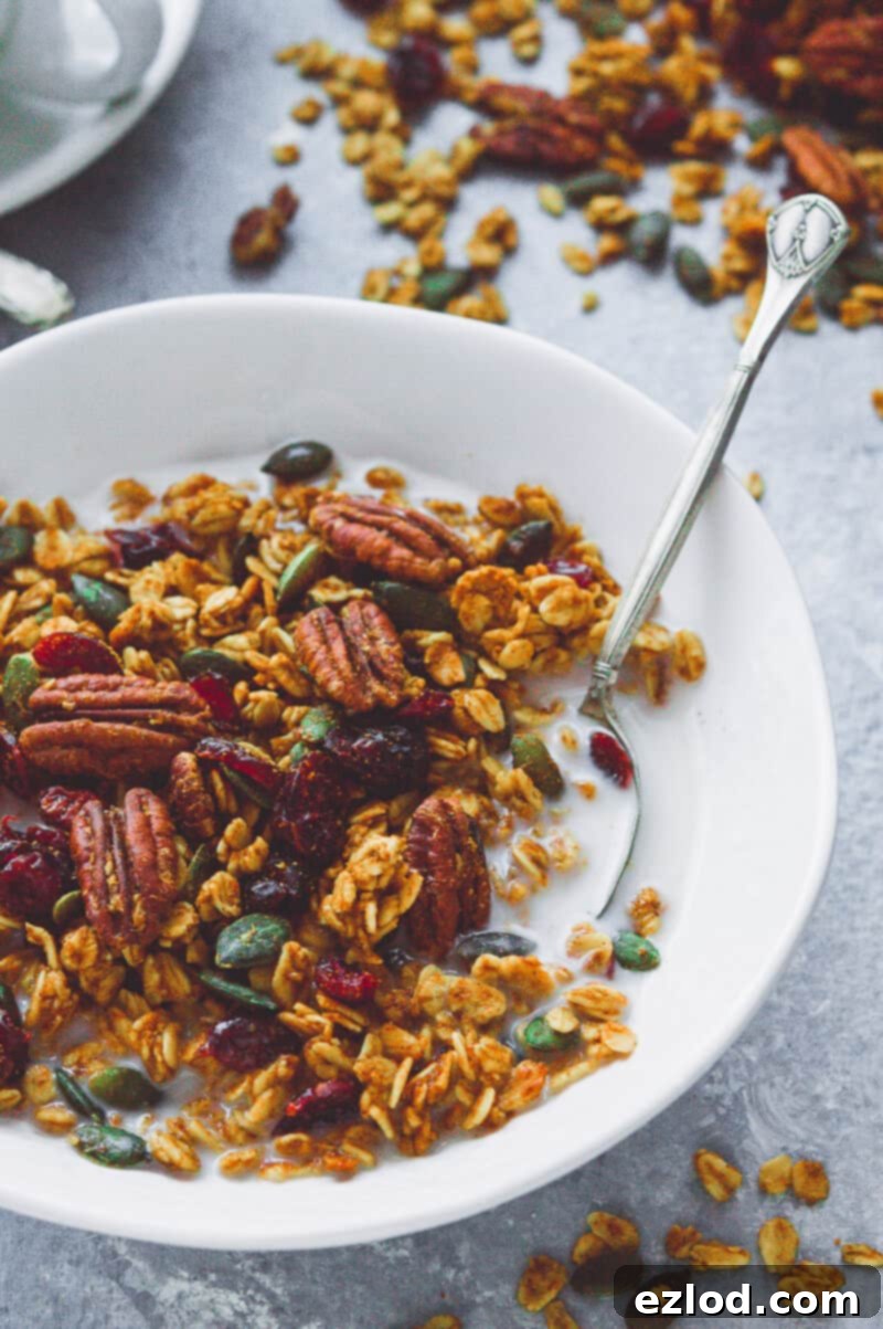 Close up of a white bowlful of vegan pumpkin spice granola on a grey background.
