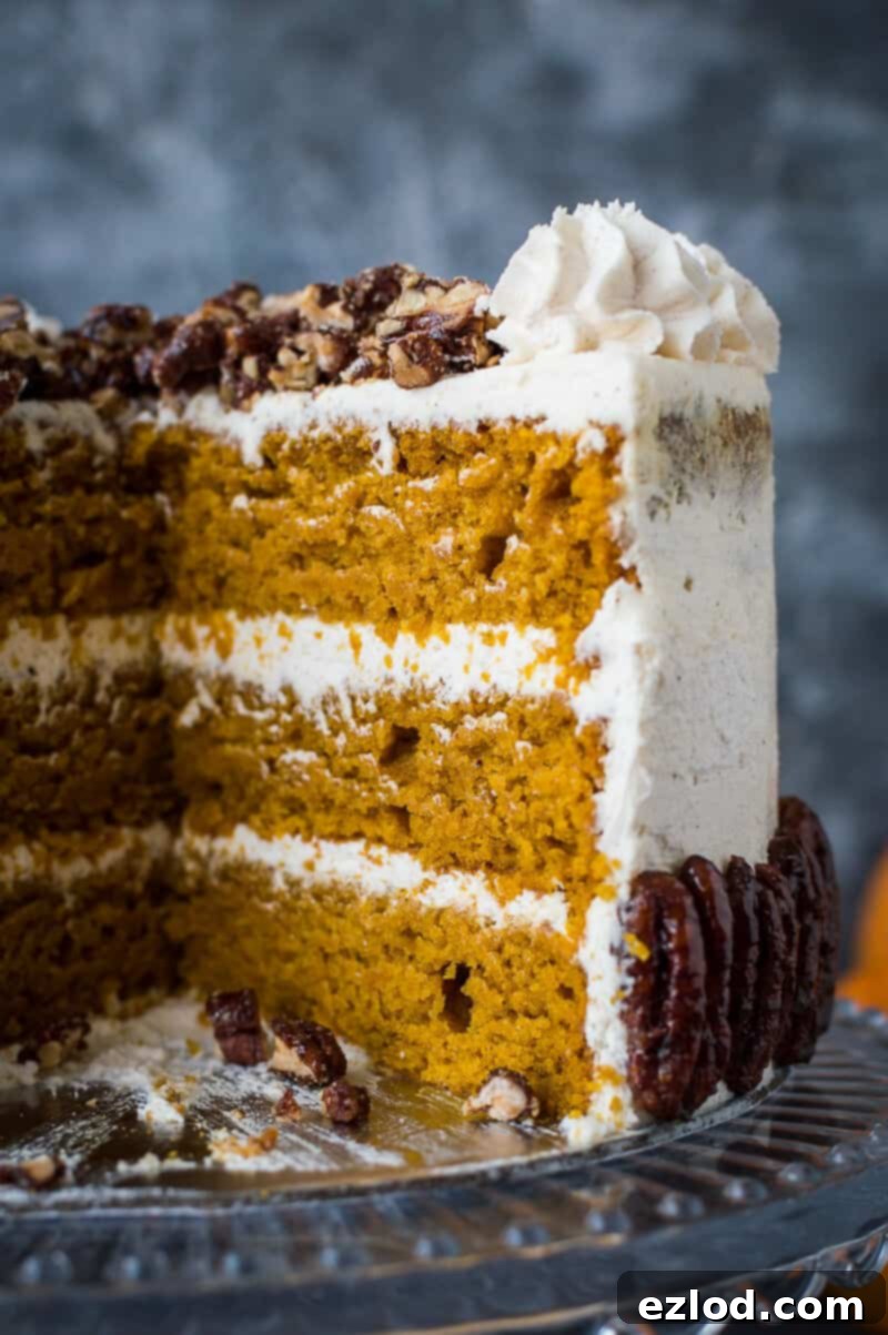 Close up of the moist crumb of a sliced vegan pumpkin cake with maple pecans and cinnamon buttercream on a glass cake stand, showing delicious layers.