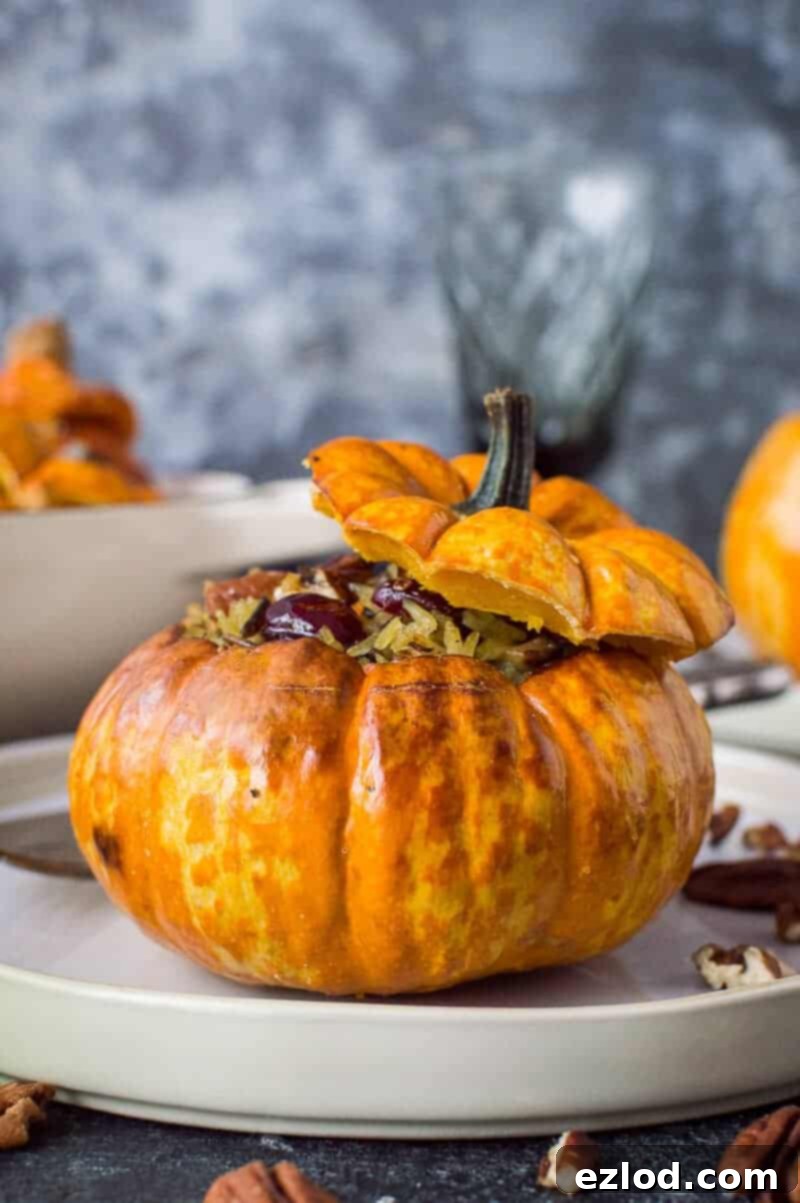 Stuffed mini pumpkins with cranberry and pecan rice – cute little individual pumpkins or squash stuffed with delicious cranberry, pecan and vegetable wild rice. Vegan and gluten-free. #vegan #pumpkin
