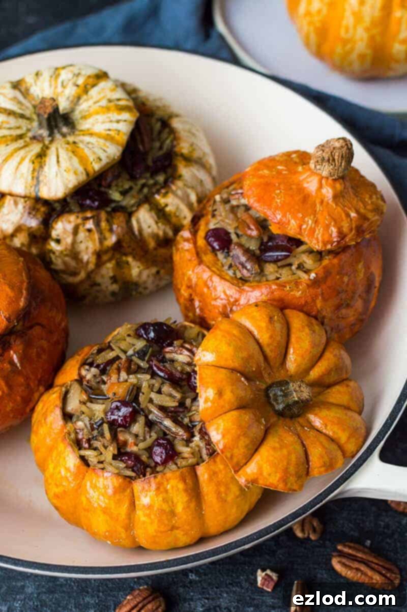 Stuffed mini pumpkins with cranberry and pecan vegetable wild rice in a casserole dish. Vegan and gluten free.