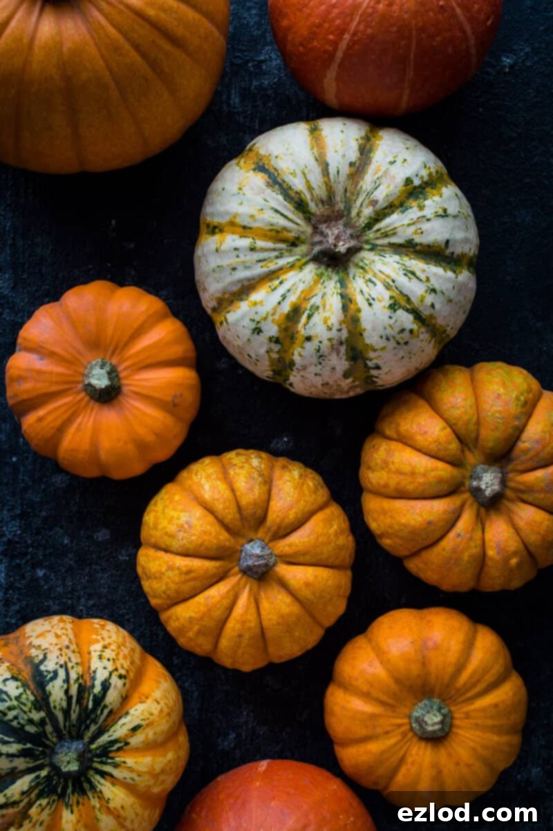 A selection of mini pumpkins and squash on a dark background.