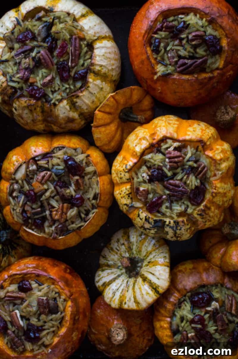 Roasted mini pumpkins and squash filled with cranberry and pecan vegetable wild rice in a roasting tray.