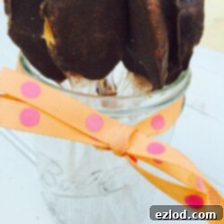 Frozen chocolate peanut butter on a spoon is the ultimate frozen treat for anyone on the 21 Day Fix! Tastes just like a frozen peanut butter cup! Recipe on ConfessionsOfAFitFoodie.com