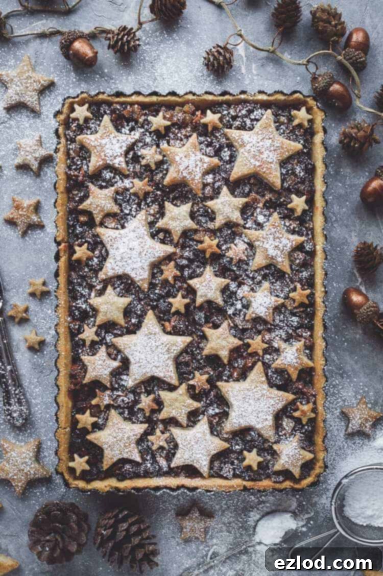 A stunning Starry Mince Pie Tart, generously dusted with icing sugar, resting on a rustic grey background. It's elegantly surrounded by individual cinnamon shortcrust stars, natural pine cones, and classic Christmas decorations, creating a perfect festive scene. This vegan tart is an attractive twist on traditional mince pies.