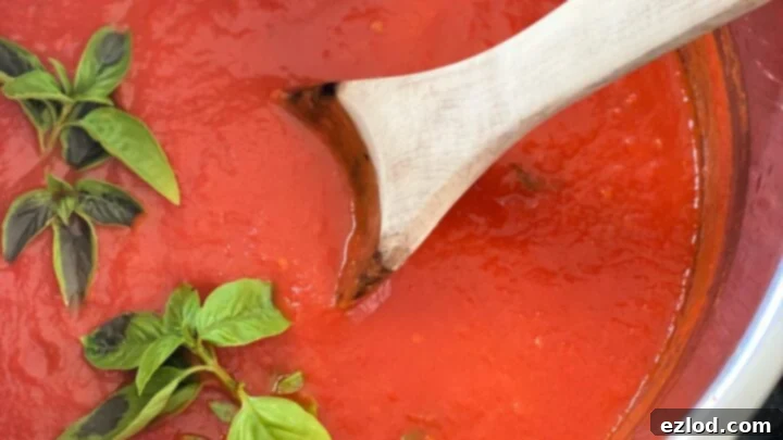 Instant Pot Fresh Tomato Sauce