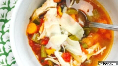 Instant Pot Easy Chicken Veggie Soup