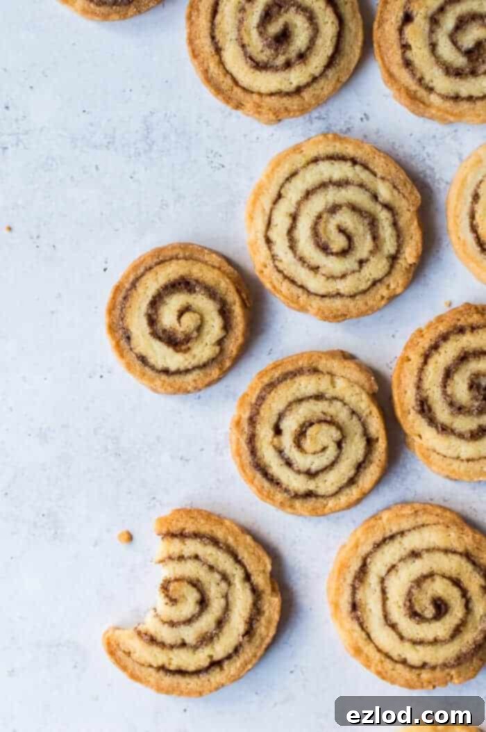 Cinnamon swirl cookies – crisp, delicious vegan biscuits with an eye-catching cinnamon swirl, like cinnamon rolls in cookie form! #vegan #vegancookies #cinnamonroll