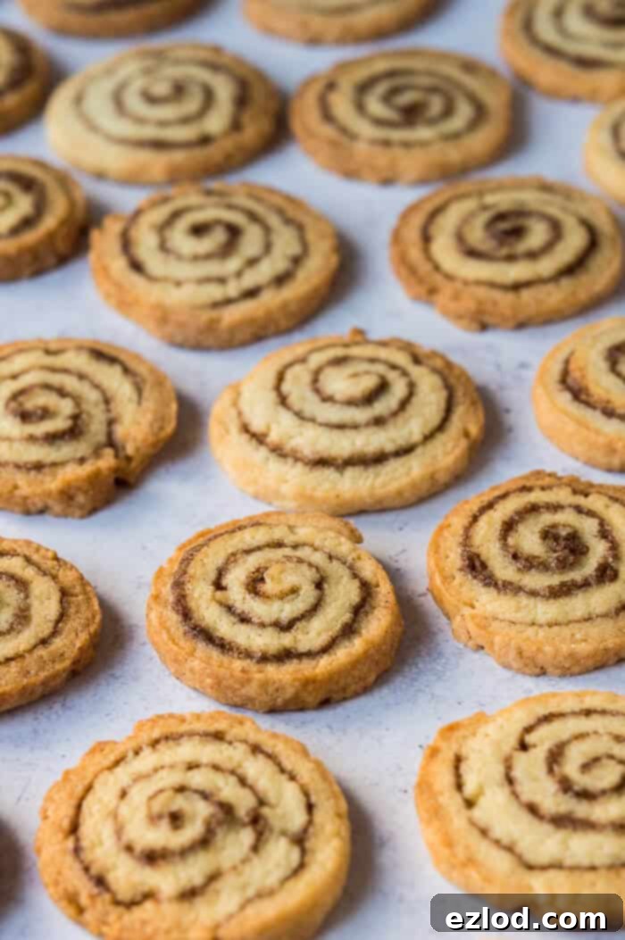 vegan cinnamon roll cookies on a grey background.