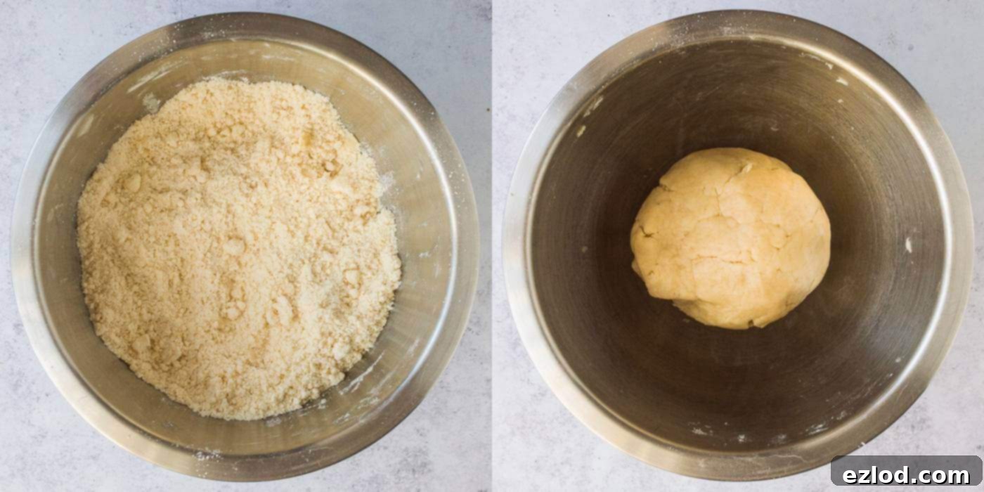 cinnamon swirl cookies step 1 - making the dough