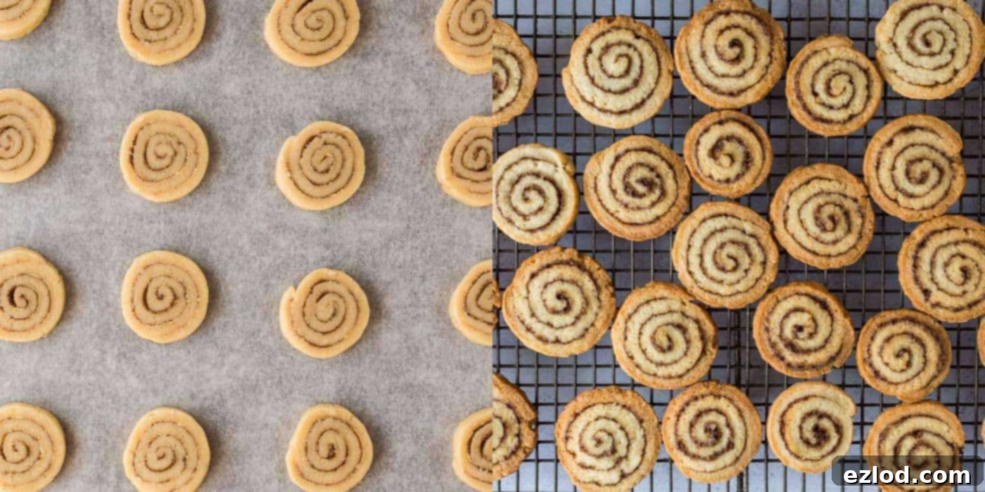 cinnamon swirl cookies step 4 - baking the cookies
