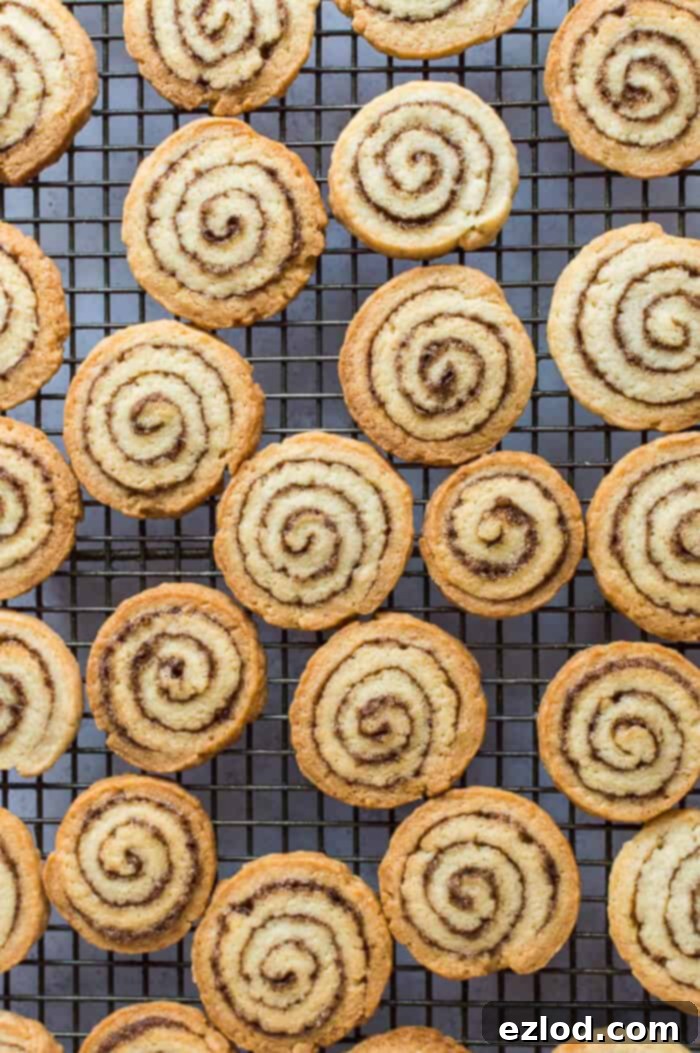 Vegan cinnamon swirl biscuits on a wire cooling rack