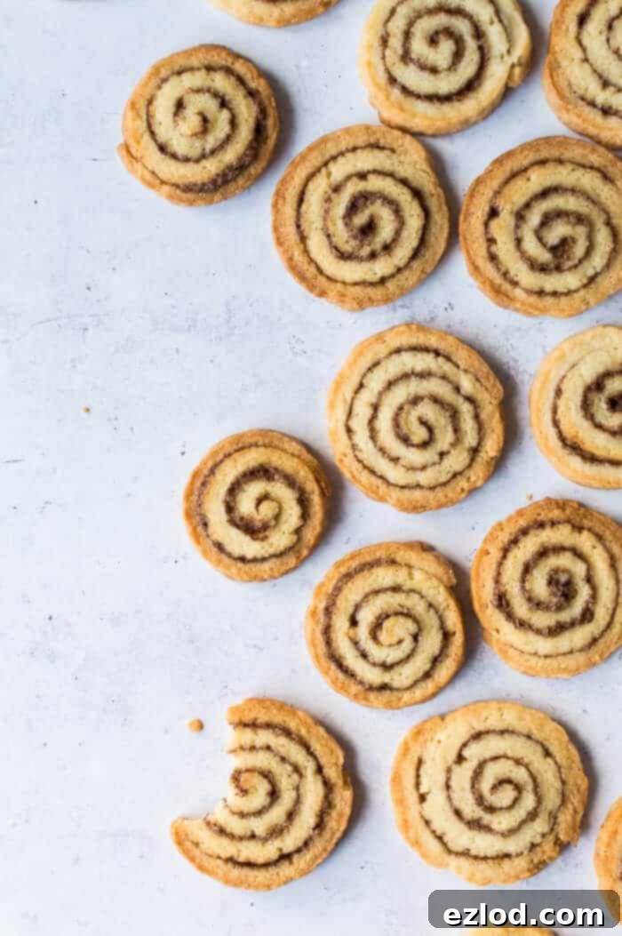 Vegan cinnamon swirl cookies arranged on a grey background with a bite taken out of one.