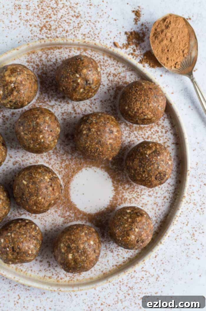 A plateful of vegan chocolate chip peanut butter energy bites dusted lightly with cacao powder. One bite is missing, highlighting their delicious appeal and tempting texture. They resemble mini cookie dough balls, perfect for a healthy snack.