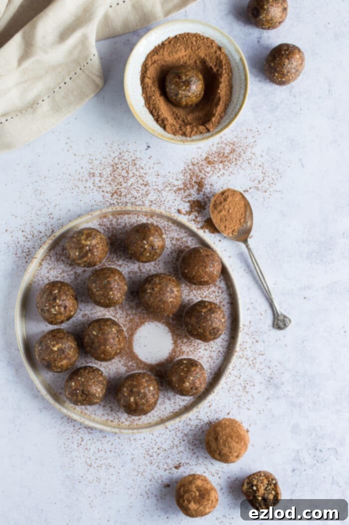 Close-up of vegan chocolate chip peanut butter energy balls, lightly dusted with cocoa powder, arranged on a crisp white plate against a soft grey background. The texture of the oats and chocolate chips is visible.