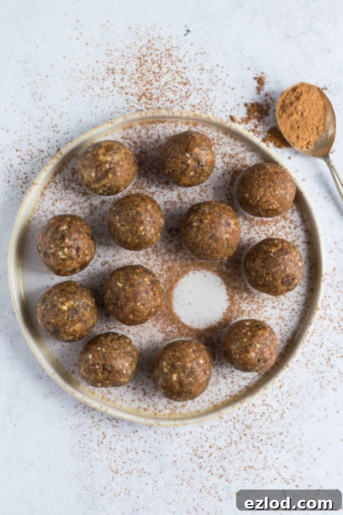 A close-up shot of a plate filled with homemade peanut butter chocolate chip energy bites, elegantly dusted with cacao powder, set against a muted grey background. The lighting highlights their texture and rich color.