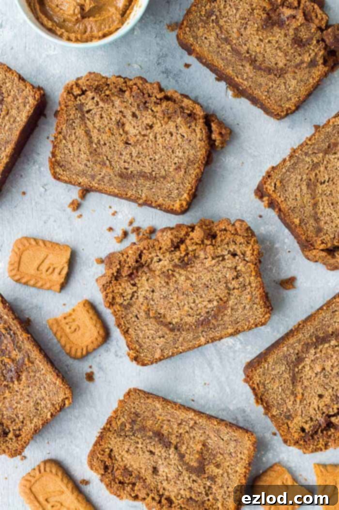Slices of incredibly moist vegan Biscoff banana bread adorned with a crunchy streusel topping, sitting on a chic grey background alongside whole Lotus biscuits and a bowl of creamy Biscoff spread, highlighting its deliciousness.