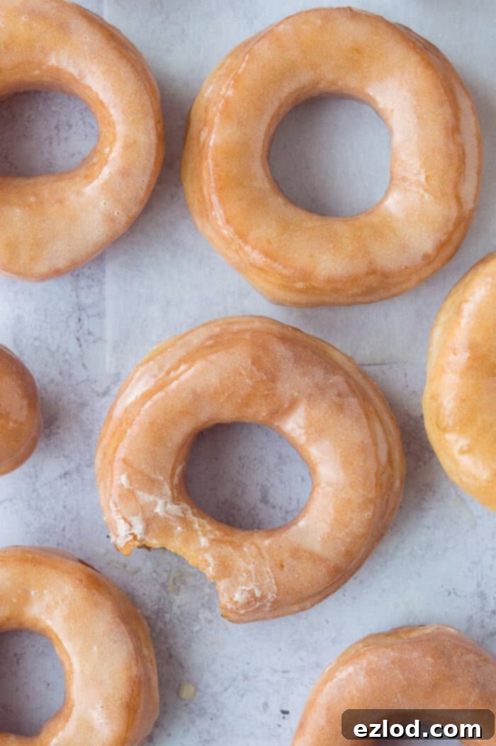 doughnuts arranged on a grey background