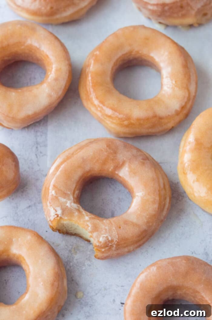 Vegan fried vanilla glazed doughnuts on a grey background, one with a bite taken out.