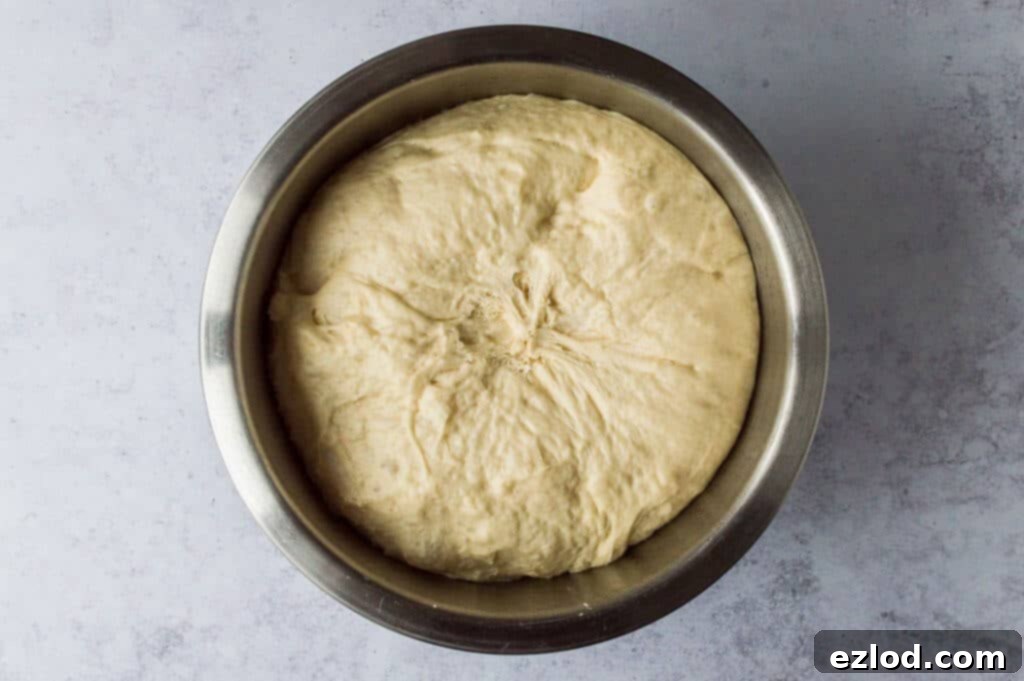 vegan glazed doughnuts step 3 - the risen dough