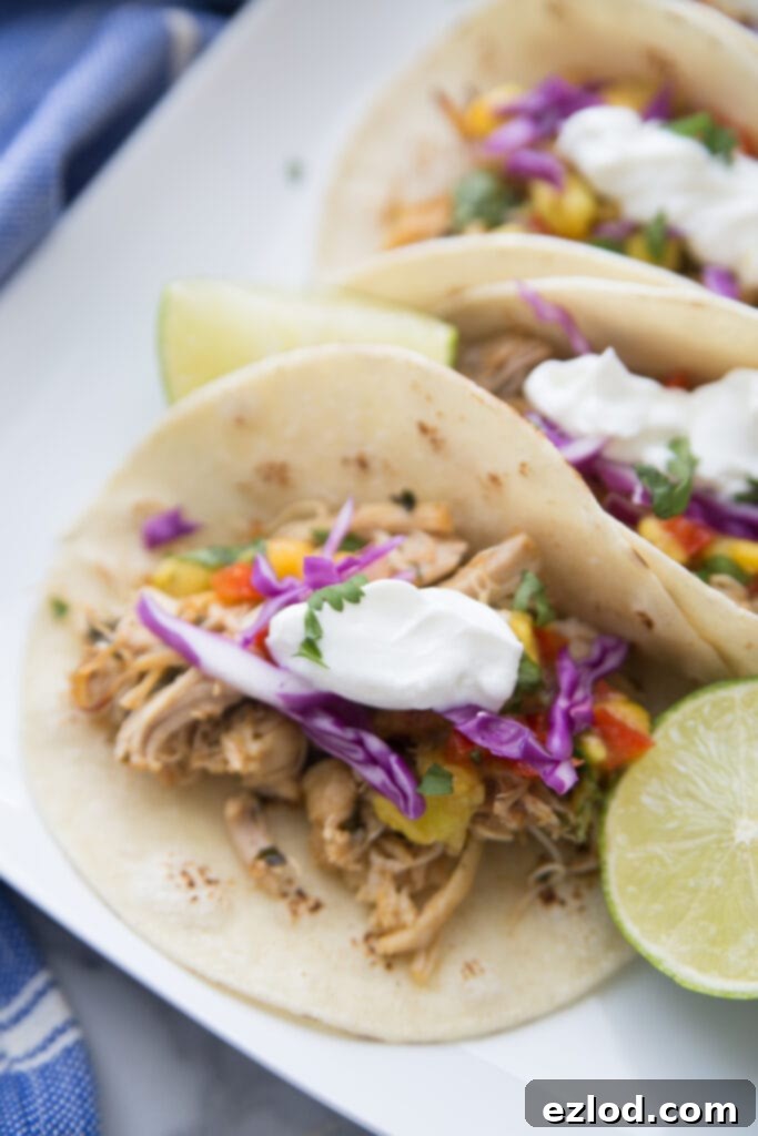 A close up of a plate of chicken carnitas on corn tortillas and topped with greek yogurt and peach salsa