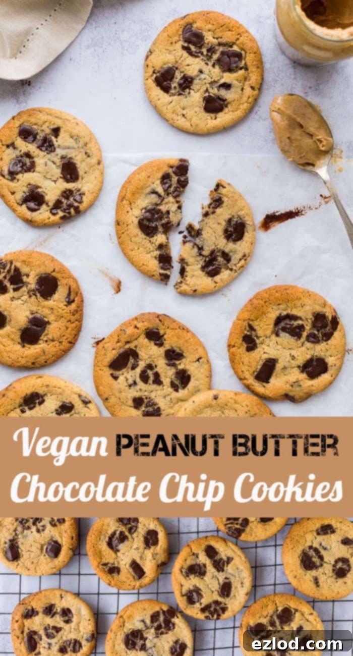 A top-down view of perfect vegan peanut butter chocolate chip cookies on a vintage wire rack, highlighting their golden color and tempting chocolate chunks. #vegan #vegancookies #veganbaking #chocolatechip #cookies #peanutbutter 