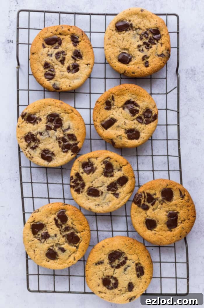 Freshly baked vegan peanut butter chocolate chip cookies arranged on a vintage wire cooling rack against a minimalist grey background, highlighting their golden-brown perfection.